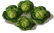malala_cabbage_layer3.png