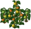 malala_tomato_layer2.png