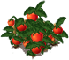 malala_tomato_layer3.png