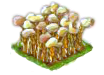 maltgrain_Icon.png