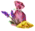 mandragorapowder.png