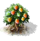 mango_Icon.png