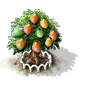 Mangobaum xl.png