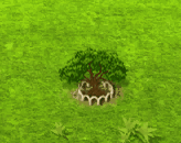 marula_upgrade_1.gif