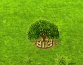 marula_upgrade_2.gif