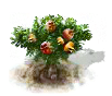 medlar_upgrade_0_Icon.png