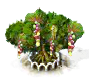 Meertraubenbaum xl.png