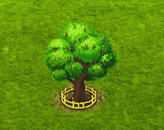 melojo_upgrade_2.gif