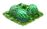 melon_Icon.png