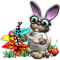 mendelaug2018_quest-464_big[1].png