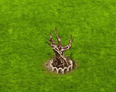 methusalehtree_upgrade_1.gif