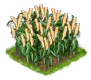 millet_Icon.png