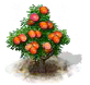 Mombinpflaumenbaum.png
