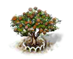 Mongongo-Baum xl.png