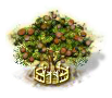 Mongongo-Baum xxl.png