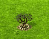 mongongo_upgrade_1.gif