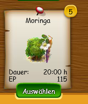 Moringa.PNG