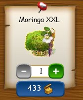 Moringa XXL im Shop.jpg