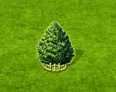 mountainjuniper_upgrade_2.gif
