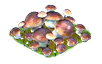 mushroom_Icon.png