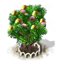 Muskatnussbaum xl.png