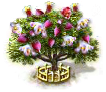 Myrrhe xxl.png