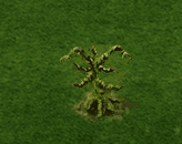 Nebelweide.gif