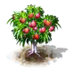 Nektarinenbaum.png