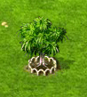 nektarinkovy_strom_xl_an[1].gif