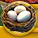 nest.png