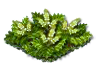 nettle_Icon.png