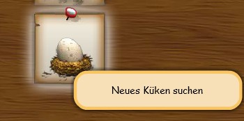 neues Küken suchen 01.jpg