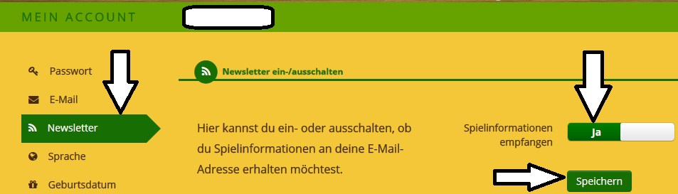 Newsletter ja.jpg