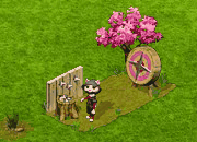 Ninja Training.gif