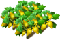 nipplefruit_plant_layer2[1].png