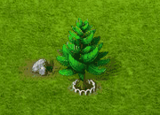 norfolkpine_upgrade_1.gif