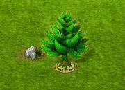 norfolkpine_upgrade_2.gif