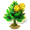 Norfolktanne xxl.png