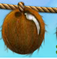 Nuss1.PNG