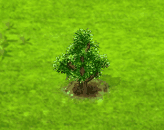 nutmeg_upgrade_0.gif