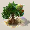 Olive.png