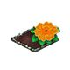 omnilayermay2026primrosebaha.png