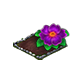 omnilayermay2026primrosefm.png