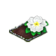 omnilayermay2026primrosemain.png
