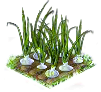 onion_Icon.png