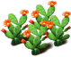 opuntia_plant_layer2[1].png