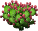 opuntia_plant_layer3[1].png