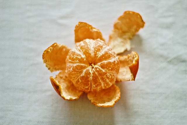 orange-1843708_640.jpg