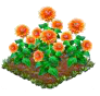 orangedahlia.png