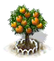 Orangenbaum XL.png